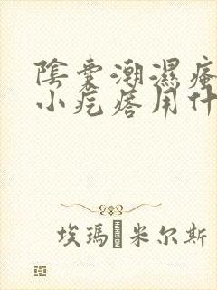 阴囊潮湿瘙痒有小疙瘩用什么药膏