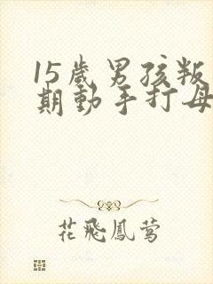 15岁男孩叛逆期动手打母亲怎么办封面