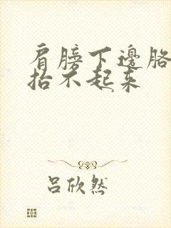 肩膀下边胳膊疼抬不起来封面