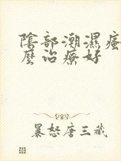 阴部潮湿瘙痒怎么治疗好封面