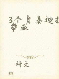 3个月泰迪拉稀带血