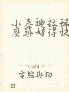 小泰迪拉稀吃什么药好得快