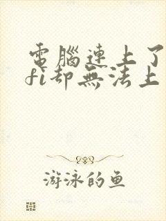 电脑连上了wifi却无法上网封面