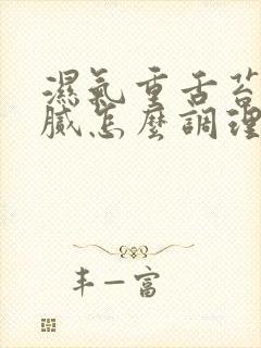 湿气重舌苔黄厚腻怎么调理封面