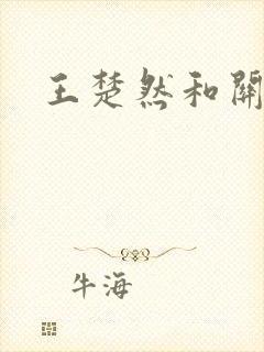 王楚然和关晓彤封面