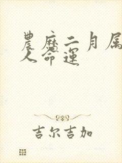 农历二月属狗的人命运