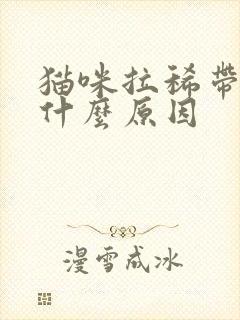 猫咪拉稀带血是什么原因