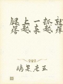 腿上一抓就起疙瘩越来越痒