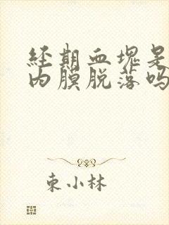 经期血块是子宫内膜脱落吗