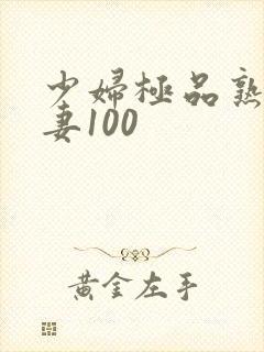 少妇极品熟妇人妻100