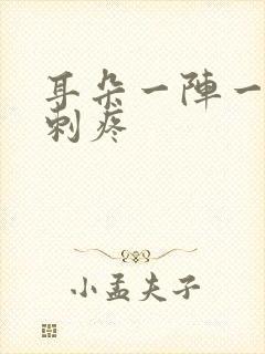 耳朵一阵一阵的刺疼