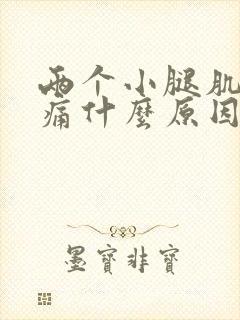 两个小腿肌肉酸痛什么原因引起的