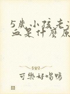 5岁小孩老流鼻血是什么原因封面