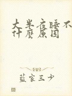 大半夜睡不着是什么原因