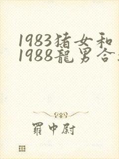 1983猪女和1988龙男合适吗