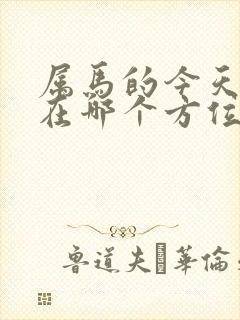 属马的今天财运在哪个方位