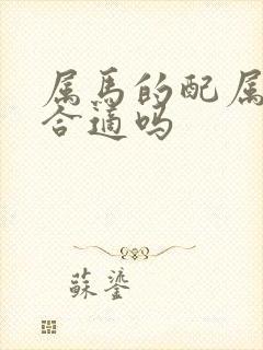 属马的配属兔的合适吗