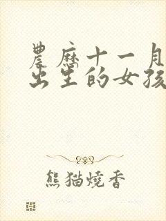 农历十一月十五出生的女孩是什么命