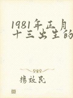 1981年正月十三出生的命运