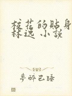 校花的贴身高手林逸 小说