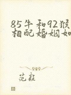 85牛和92猴相配婚姻如何封面