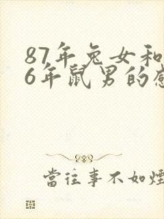 87年兔女和96年鼠男的感情和婚姻