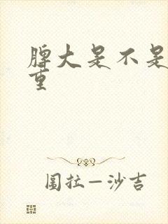 脾大是不是湿气重封面