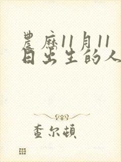 农历11月11日出生的人命运封面