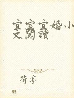 宜室宜婚小说全文阅读