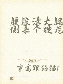 腹股沟大腿根内侧长个硬疙瘩