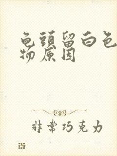 龟头留白色脓状物原因