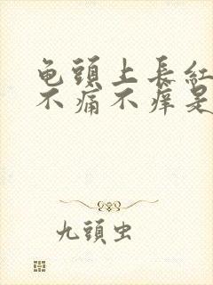 龟头上长红疙瘩不痛不痒是怎么回事