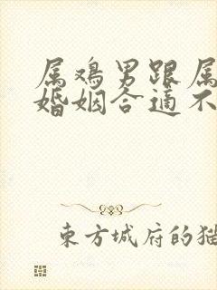 属鸡男跟属龙女婚姻合适不