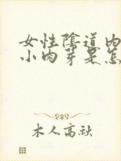 女性阴道内长了小肉芽是怎么回事