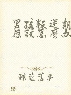 男孩叛逆期家长应该怎么办