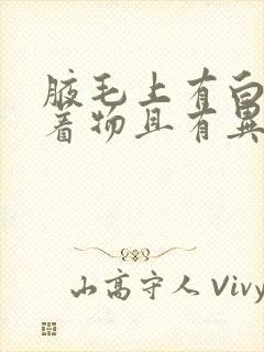 腋毛上有白色附着物且有异味