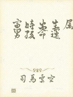 寅时出生属虎的男孩命运