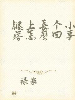 腿上长个小硬疙瘩怎么回事