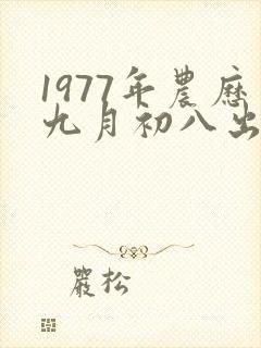 1977年农历九月初八出生的人的命运
