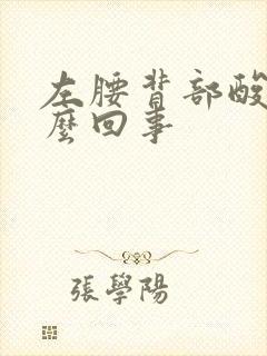 左腰背部酸胀怎么回事