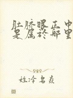 肚脐眼正中间疼是属于哪里封面