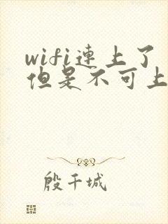 wifi连上了但是不可上网