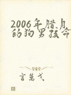 2006年腊月的狗男孩命好吗