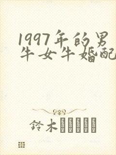 1997年的男牛女牛婚配怎么样封面