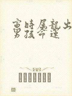 寅时属龙出生的男孩命运