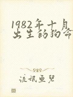 1982年十月出生的狗命运怎么样封面