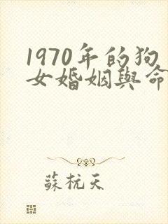 1970年的狗女婚姻与命运