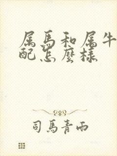 属马和属牛的婚配怎么样