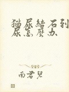 猫尿结石到处乱尿怎么办