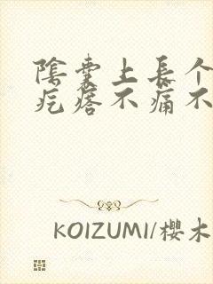 阴囊上长个个硬疙瘩不痛不痒的